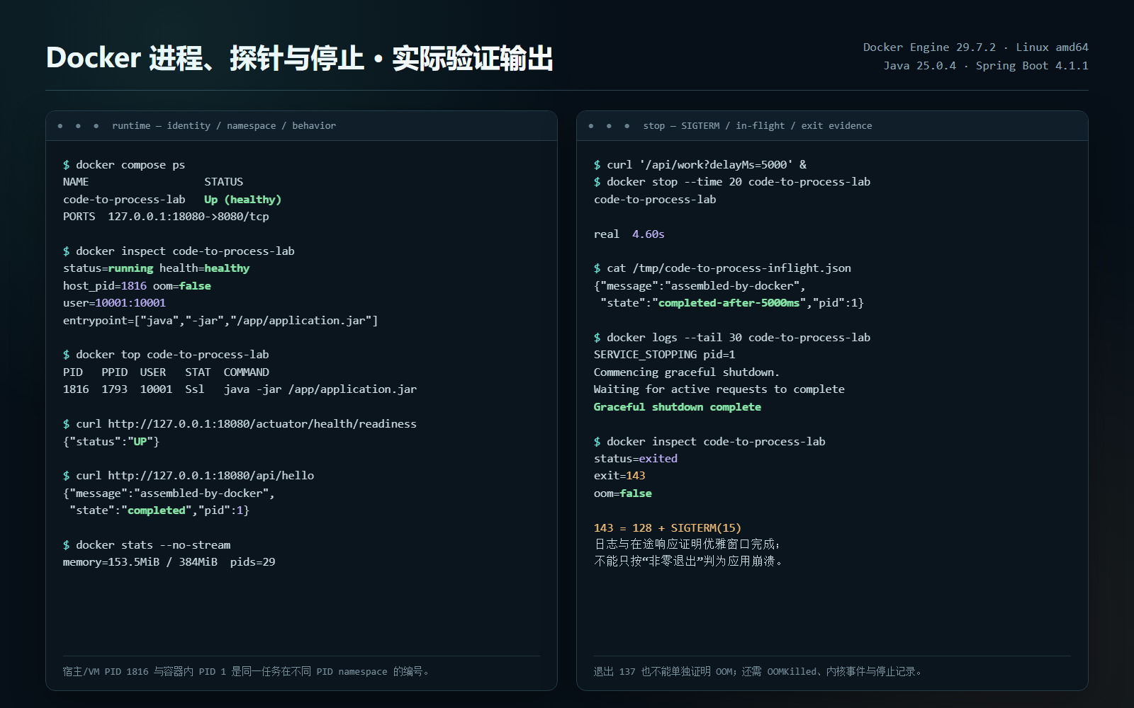 Docker 中镜像、PID、非 root 用户、端口、探针、业务响应和停止状态的实际输出